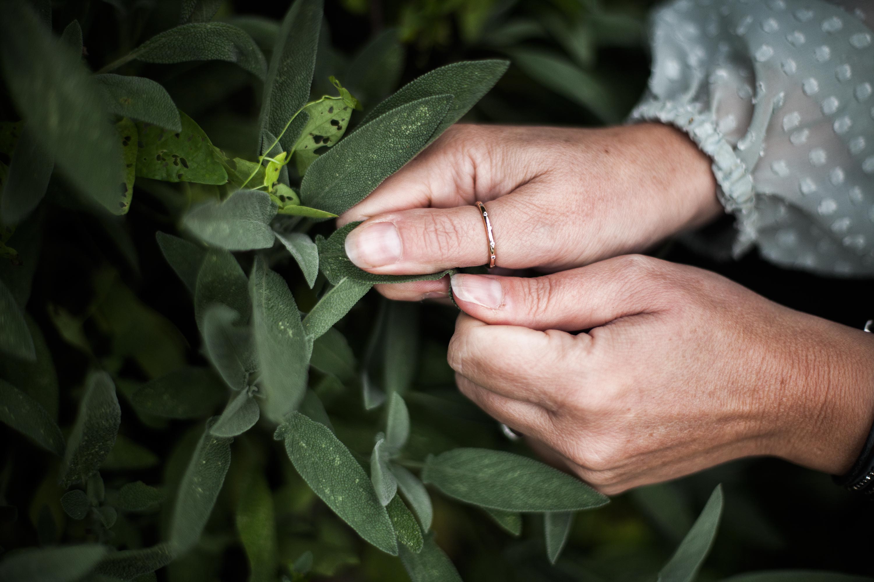 Banner image for product